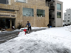 金沢のお庭の管理