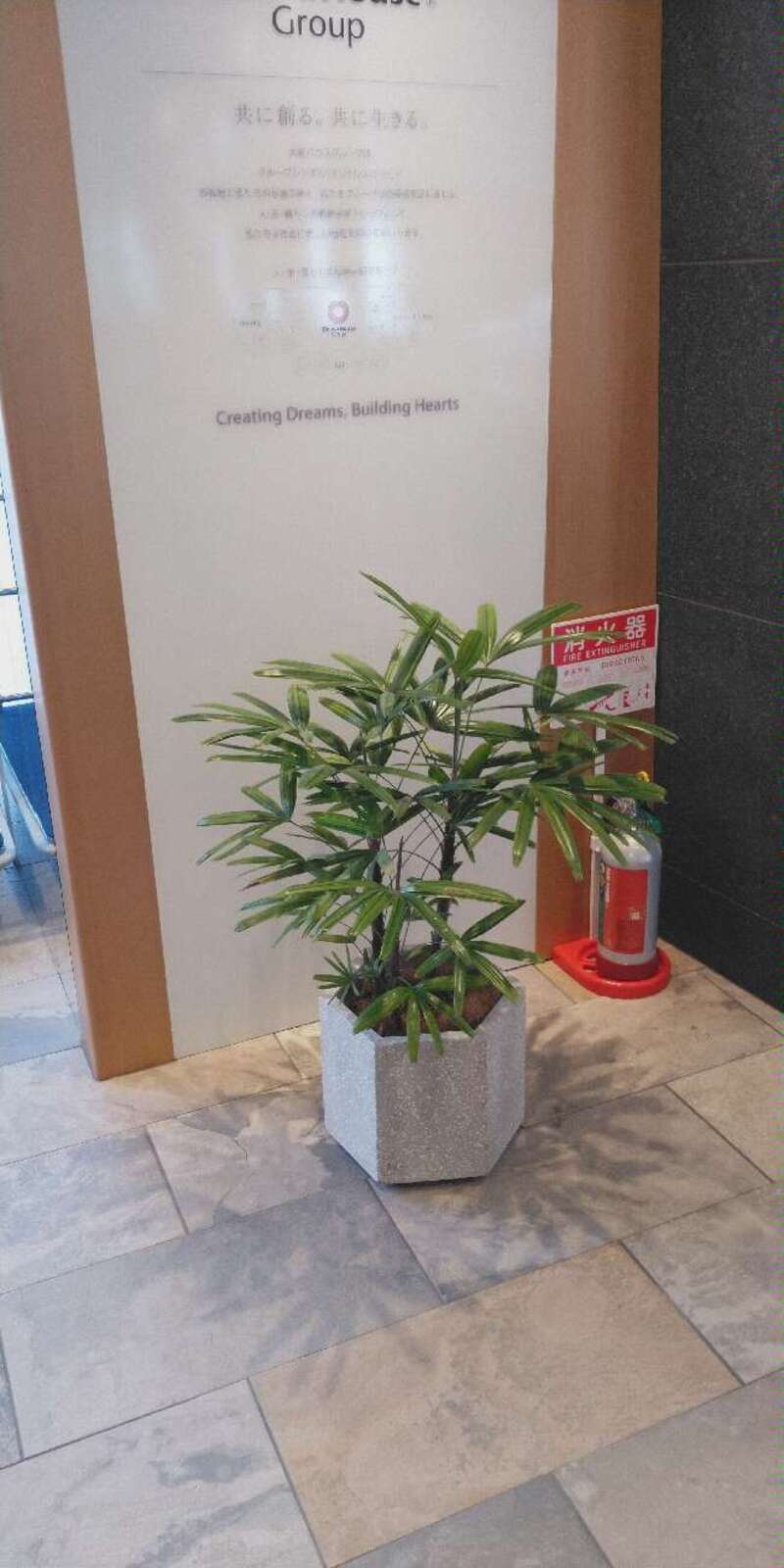 観葉植物レンタル